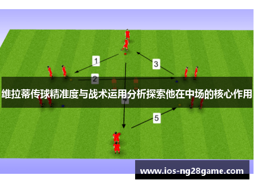 维拉蒂传球精准度与战术运用分析探索他在中场的核心作用