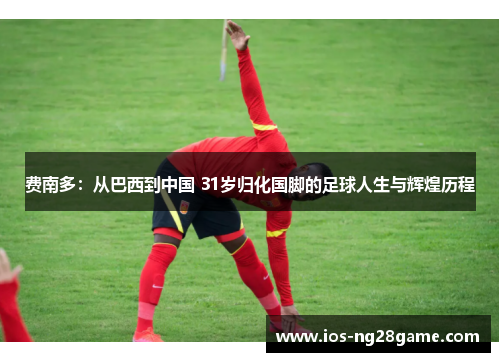 费南多:从巴西到中国 31岁归化国脚的足球人生与辉煌历程 费南多:从巴西到中国 31岁归化国脚的足球人生与辉煌历程